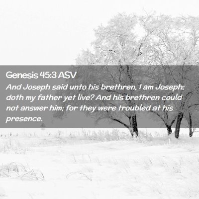 Picture 02 - Genesis 45:3 ASV - And Joseph said unto his brethren, I am Joseph; - Bible Verse Picture