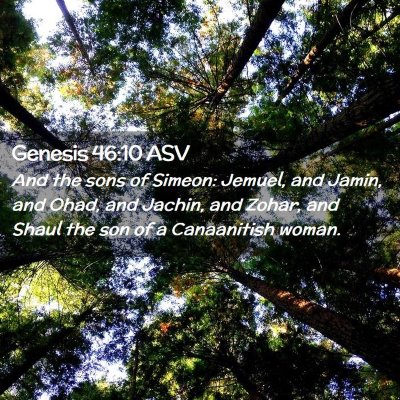 Picture 02 - Genesis 46:10 ASV - And the sons of Simeon: Jemuel, and Jamin, and - Bible Verse Picture