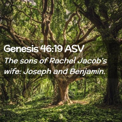 Picture 02 - Genesis 46:19 ASV - The sons of Rachel Jacob's wife: Joseph and - Bible Verse Picture