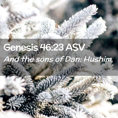 Picture 02 - Genesis 46:23 ASV - And the sons of Dan: - Bible Verse Picture
