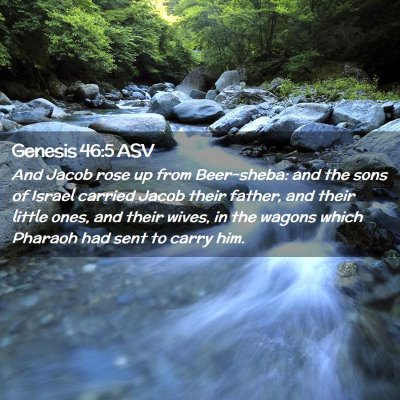 Picture 02 - Genesis 46:5 ASV - And Jacob rose up from Beer-sheba: and the sons - Bible Verse Picture