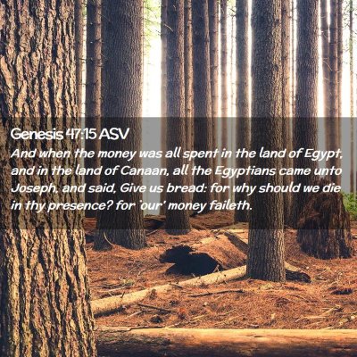 Picture 02 - Genesis 47:15 ASV - And when the money was all spent in the land of - Bible Verse Picture