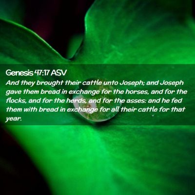 Picture 02 - Genesis 47:17 ASV - And they brought their cattle unto Joseph; and - Bible Verse Picture