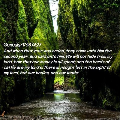 Picture 02 - Genesis 47:18 ASV - And when that year was ended, they came unto him - Bible Verse Picture