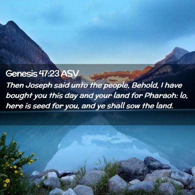 Picture 02 - Genesis 47:23 ASV - Then Joseph said unto the people, Behold, I have - Bible Verse Picture