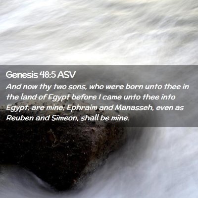 Picture 02 - Genesis 48:5 ASV - And now thy two sons, who were born unto thee in - Bible Verse Picture