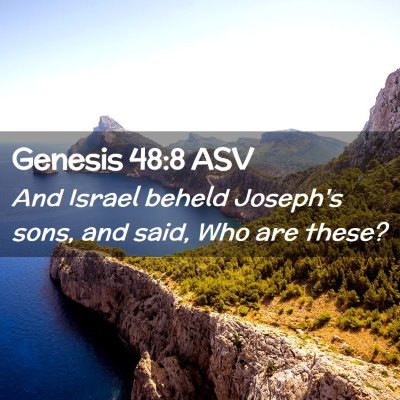 Picture 02 - Genesis 48:8 ASV - And Israel beheld Joseph's sons, and said, Who - Bible Verse Picture