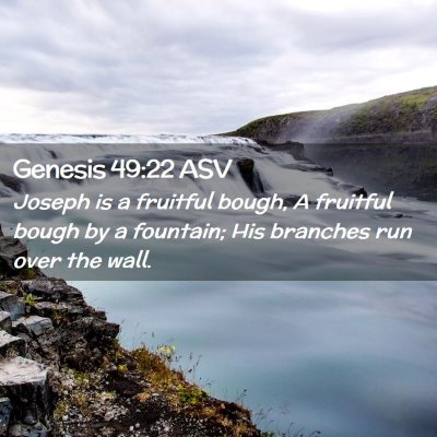 Picture 02 - Genesis 49:22 ASV - Joseph is a fruitful bough, A fruitful bough by a - Bible Verse Picture