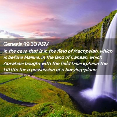 Picture 02 - Genesis 49:30 ASV - in the cave that is in the field of Machpelah, - Bible Verse Picture