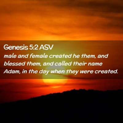 Picture 02 - Genesis 5:2 ASV - male and female created he them, and blessed - Bible Verse Picture