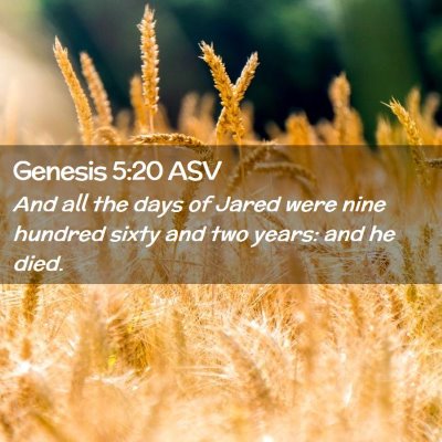 Picture 02 - Genesis 5:20 ASV - And all the days of Jared were nine hundred sixty - Bible Verse Picture