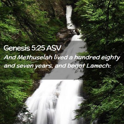 Picture 02 - Genesis 5:25 ASV - And Methuselah lived a hundred eighty and seven - Bible Verse Picture