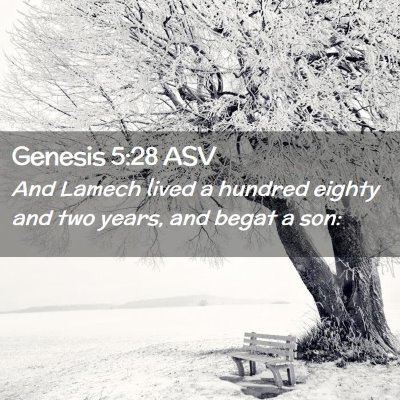 Picture 02 - Genesis 5:28 ASV - And Lamech lived a hundred eighty and two years, - Bible Verse Picture