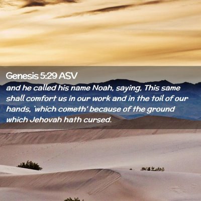 Picture 02 - Genesis 5:29 ASV - and he called his name Noah, saying, This same - Bible Verse Picture