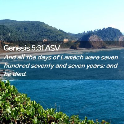 Picture 02 - Genesis 5:31 ASV - And all the days of Lamech were seven hundred - Bible Verse Picture