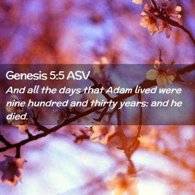 Picture 02 - Genesis 5:5 ASV - And all the days that Adam lived were nine - Bible Verse Picture
