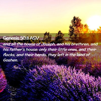 Picture 02 - Genesis 50:8 ASV - and all the house of Joseph, and his brethren, - Bible Verse Picture