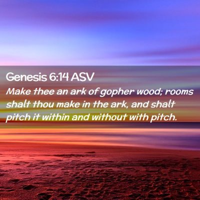 Picture 02 - Genesis 6:14 ASV - Make thee an ark of gopher wood; rooms shalt thou - Bible Verse Picture