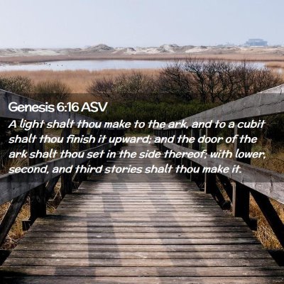 Picture 02 - Genesis 6:16 ASV - A light shalt thou make to the ark, and to a - Bible Verse Picture