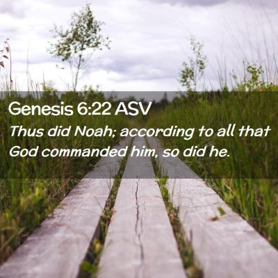 Picture 02 - Genesis 6:22 ASV - Thus did Noah; according to all that God - Bible Verse Picture