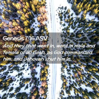 Picture 02 - Genesis 7:16 ASV - And they that went in, went in male and female of - Bible Verse Picture