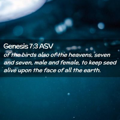 Picture 02 - Genesis 7:3 ASV - of the birds also of the heavens, seven and - Bible Verse Picture