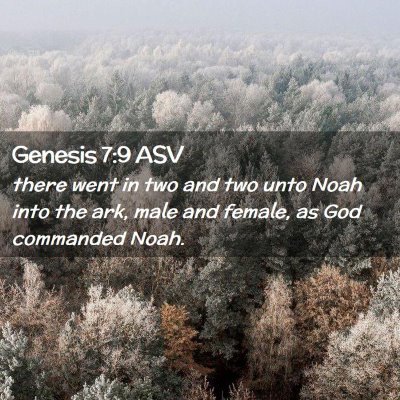 Picture 02 - Genesis 7:9 ASV - there went in two and two unto Noah into the ark, - Bible Verse Picture