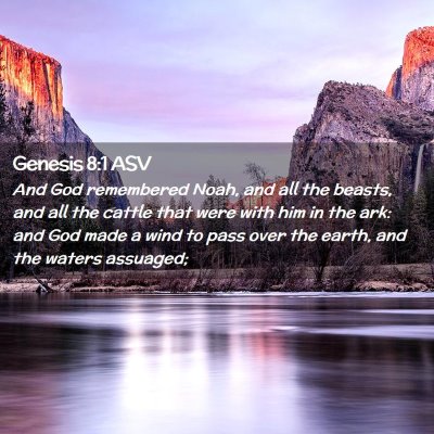Picture 02 - Genesis 8:1 ASV - And God remembered Noah, and all the beasts, and - Bible Verse Picture