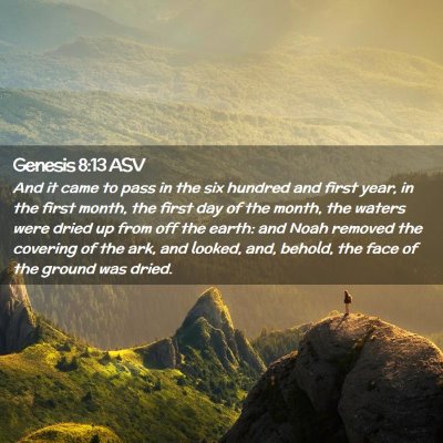 Picture 02 - Genesis 8:13 ASV - And it came to pass in the six hundred and first - Bible Verse Picture