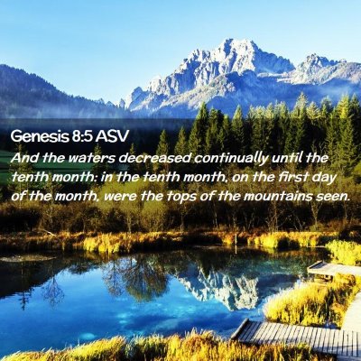 Picture 02 - Genesis 8:5 ASV - And the waters decreased continually until the - Bible Verse Picture