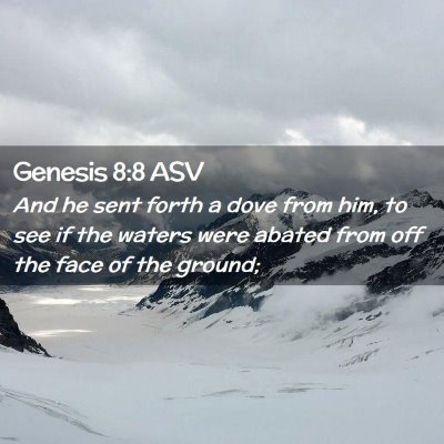 Picture 02 - Genesis 8:8 ASV - And he sent forth a dove from him, to see if the - Bible Verse Picture