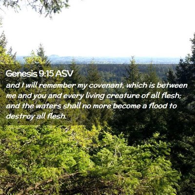 Picture 02 - Genesis 9:15 ASV - and I will remember my covenant, which is between - Bible Verse Picture