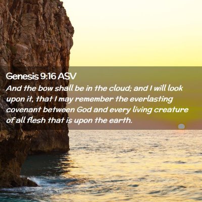 Picture 02 - Genesis 9:16 ASV - And the bow shall be in the cloud; and I will - Bible Verse Picture