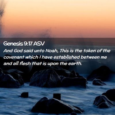 Picture 02 - Genesis 9:17 ASV - And God said unto Noah, This is the token of the - Bible Verse Picture