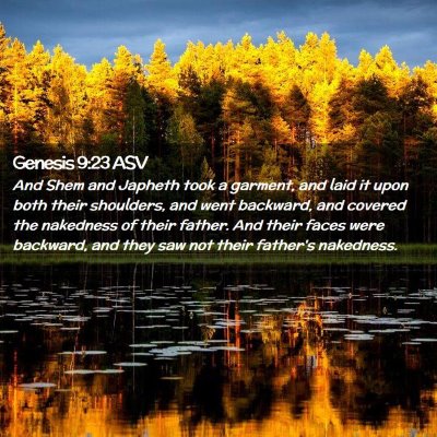 Picture 02 - Genesis 9:23 ASV - And Shem and Japheth took a garment, and laid it - Bible Verse Picture
