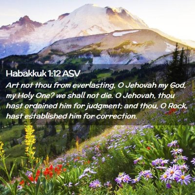 Picture 02 - Habakkuk 1:12 ASV - Art not thou from everlasting, O Jehovah my God, - Bible Verse Picture