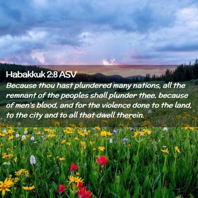 Picture 02 - Habakkuk 2:8 ASV - Because thou hast plundered many nations, all the - Bible Verse Picture
