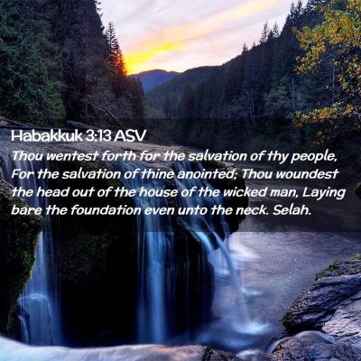 Picture 02 - Habakkuk 3:13 ASV - Thou wentest forth for the salvation of thy - Bible Verse Picture