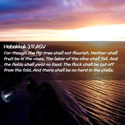 Picture 02 - Habakkuk 3:17 ASV - For though the fig-tree shall not flourish, - Bible Verse Picture