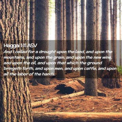 Picture 02 - Haggai 1:11 ASV - And I called for a drought upon the land, and - Bible Verse Picture