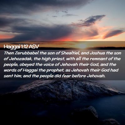 Picture 02 - Haggai 1:12 ASV - Then Zerubbabel the son of Shealtiel, and Joshua - Bible Verse Picture