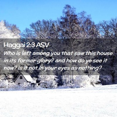 Picture 02 - Haggai 2:3 ASV - Who is left among you that saw this house in its - Bible Verse Picture