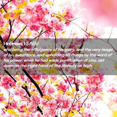 Picture 02 - Hebrews 1:3 ASV - who being the effulgence of his glory, and the - Bible Verse Picture
