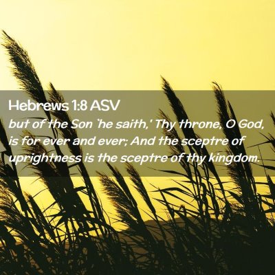 Picture 02 - Hebrews 1:8 ASV - but of the Son `he saith,' Thy throne, O God, is - Bible Verse Picture