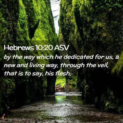 Picture 02 - Hebrews 10:20 ASV - by the way which he dedicated for us, a new and - Bible Verse Picture