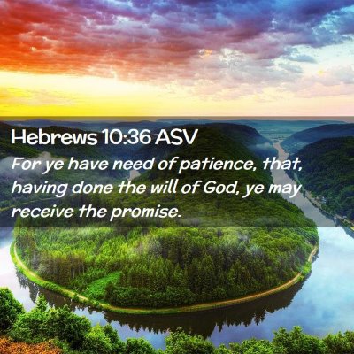 Picture 02 - Hebrews 10:36 ASV - For ye have need of patience, that, having done - Bible Verse Picture