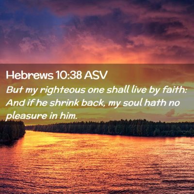 Picture 02 - Hebrews 10:38 ASV - But my righteous one shall live by faith: And if - Bible Verse Picture