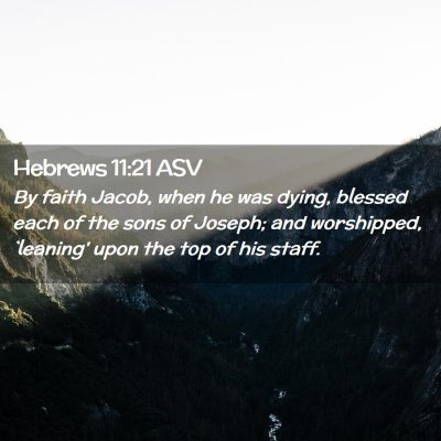 Picture 02 - Hebrews 11:21 ASV - By faith Jacob, when he was dying, blessed each - Bible Verse Picture