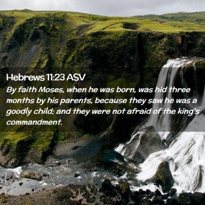 Picture 02 - Hebrews 11:23 ASV - By faith Moses, when he was born, was hid three - Bible Verse Picture