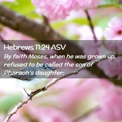 Picture 02 - Hebrews 11:24 ASV - By faith Moses, when he was grown up, refused to - Bible Verse Picture